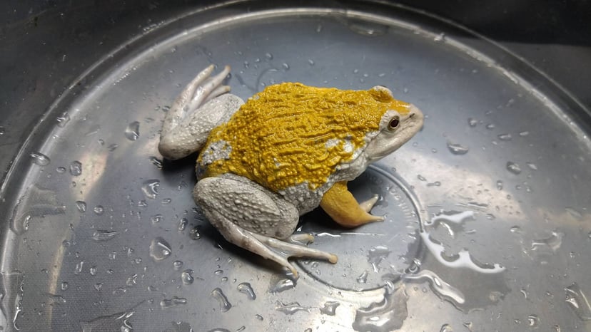 パラドックス