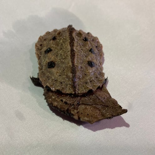 マタマタ 