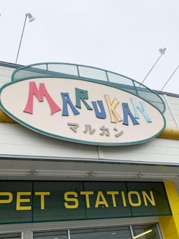 マルカンペットの画像1