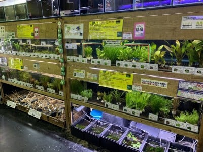 ペットボックス北谷店
