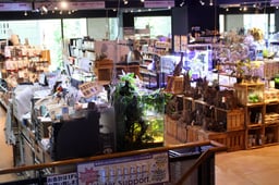 パウパウアクアガーデン銀座店の画像3