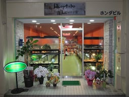 Herptile Lovers（ハープタイル ラバーズ）の画像1
