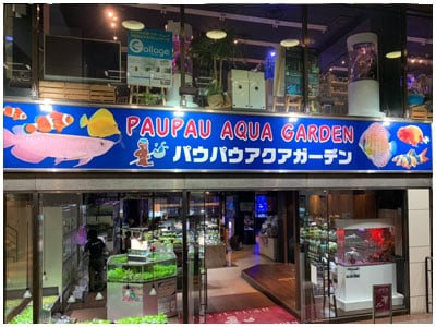 パウパウアクアガーデン銀座店