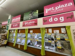 ペットプラザ 福島大開店の画像2