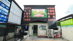爬虫類カフェ ROCK STAR 松原店（旧：ミニラズファクトリー）の画像1