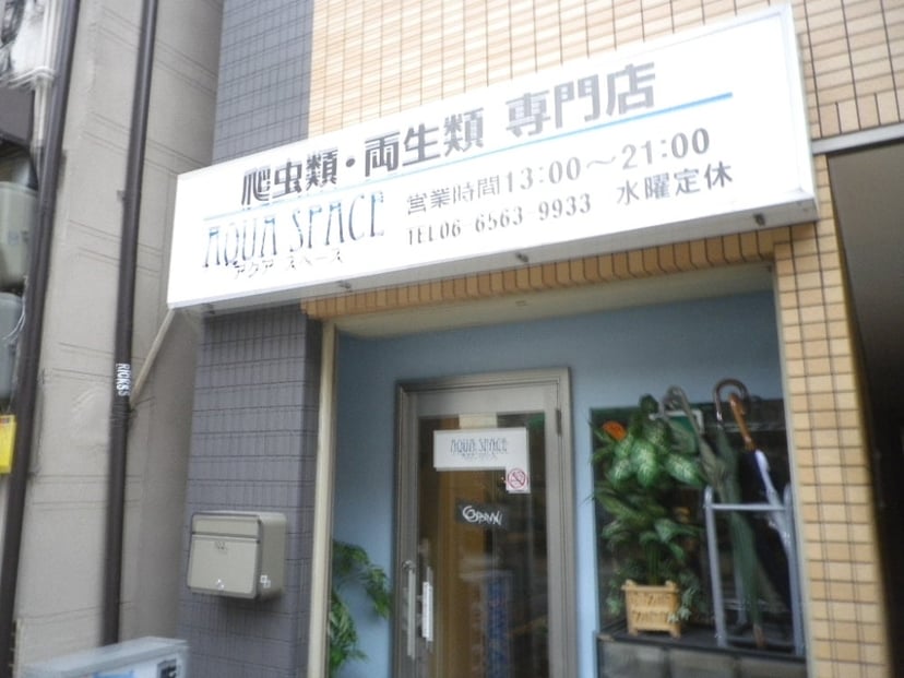 アクアスペース