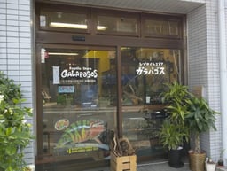 レプタイルストア ガラパゴスの画像1