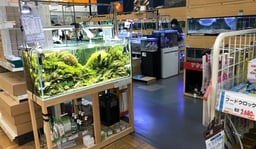 エイチ・ツー 豊洲店の画像3