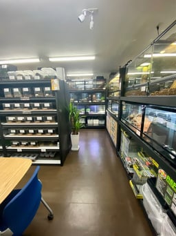 FINEREPTILES（ファインレプタイルズ）の画像3