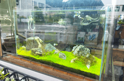 M2 aquariumの画像3