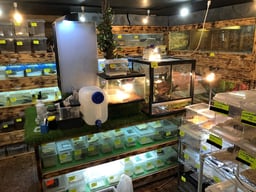 PETSHOP Sirius（シリウス）の画像3