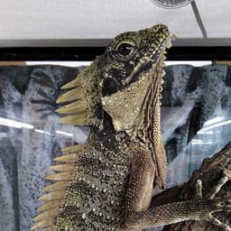 アンテナ井尻店の画像3