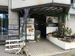 関西レプタイルプロの画像1