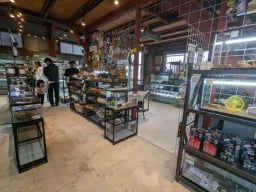 爬虫類カフェ ROCK STAR 堺店の画像2