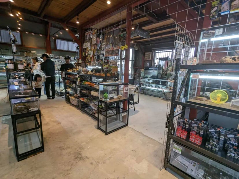 爬虫類カフェ ROCK STAR 堺店