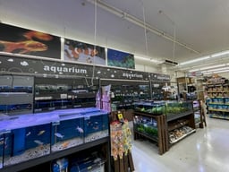 ペットプラザ 福島大開店の画像1