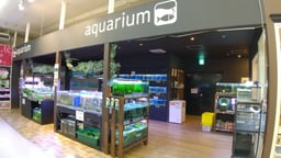 ペットプラザ箕面今宮店の画像1