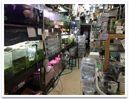 アクアルーム兵庫の画像2
