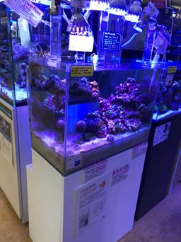 リミックス・ペポニ 名古屋インター店の画像3