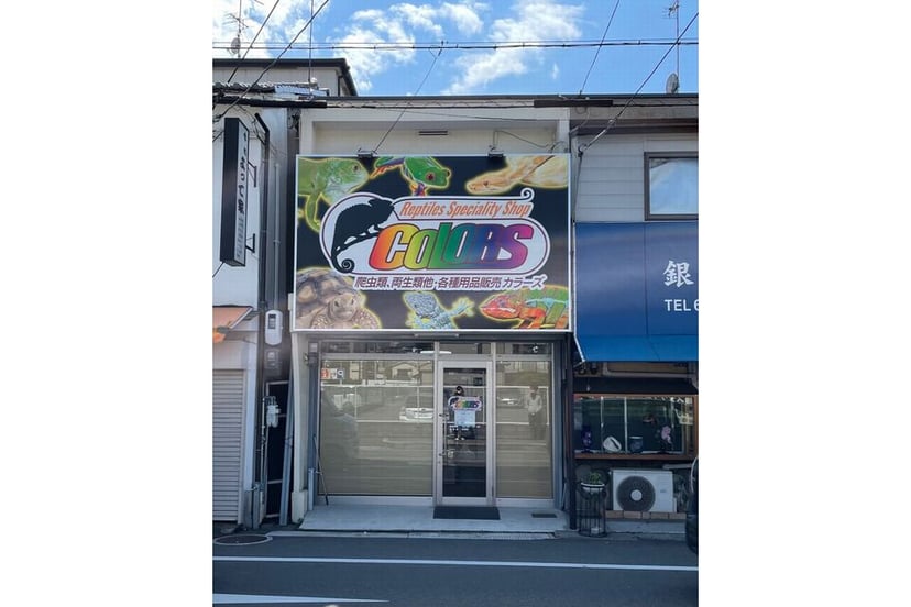 爬虫類ショップCOLORS