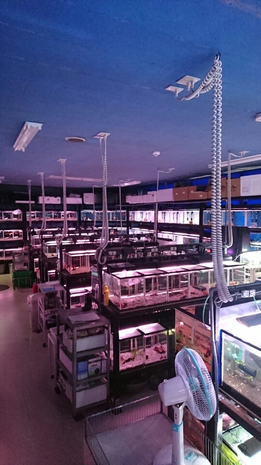 かねだい我孫子店