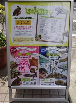 はちゅカフェ（爬虫類カフェ）の画像2
