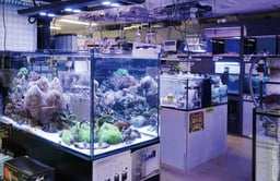 リミックス・ペポニ 名古屋インター店の画像2