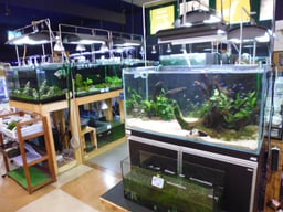ペットワールド アミーゴ 神戸西店の画像2