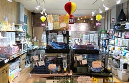 熱帯倶楽部 吉祥寺店の画像3