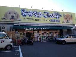 ひごペット東淀川店の画像1