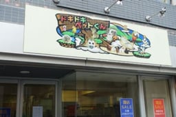 DK2P（ドキドキペットくん）の画像1