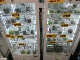 かねだい戸田店の画像1