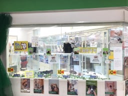 アクア＆ペットかねだい 四街道店の画像3