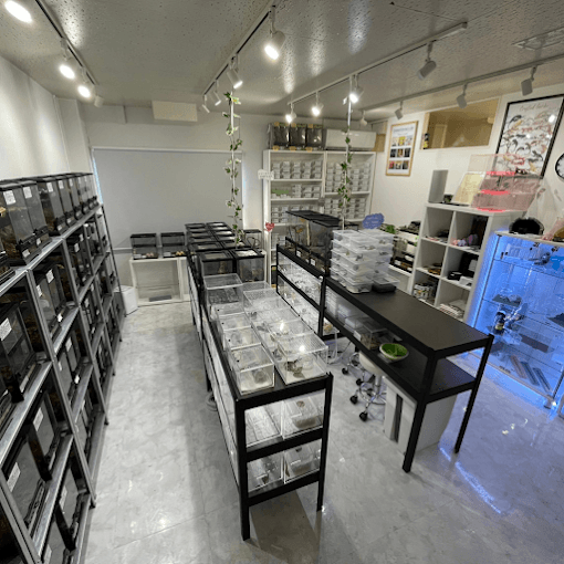 ﻿﻿G.O.LAB.