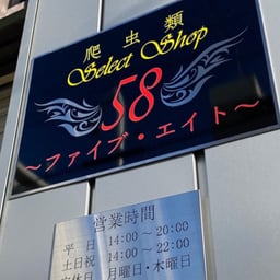 58～ファイブ・エイト～の画像1