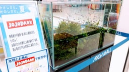 ジョジョパークの画像2
