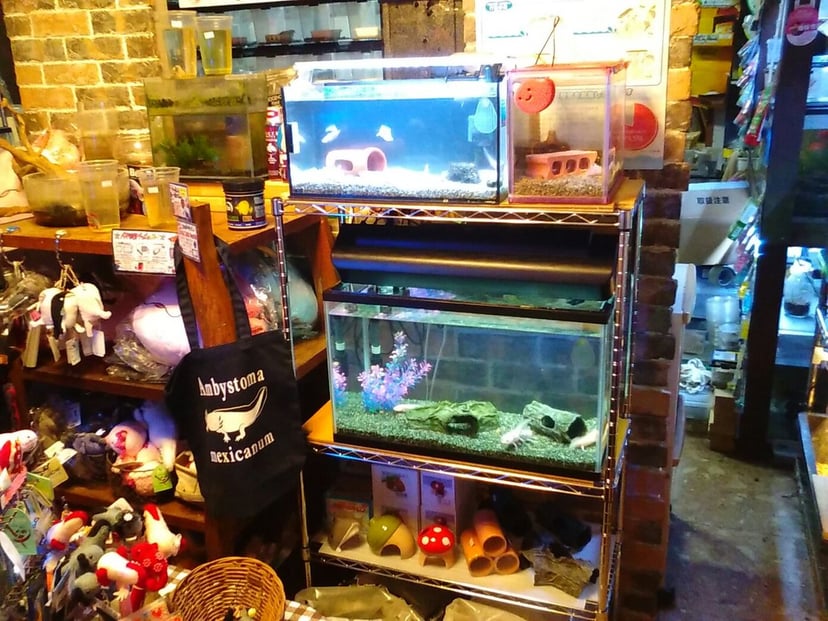 うぱるぱ屋