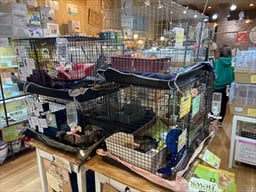 熱帯倶楽部 吉祥寺店の画像2