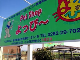 PerShopよっぴ～の画像2