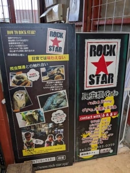 爬虫類カフェ ROCK STAR 堺店の画像3
