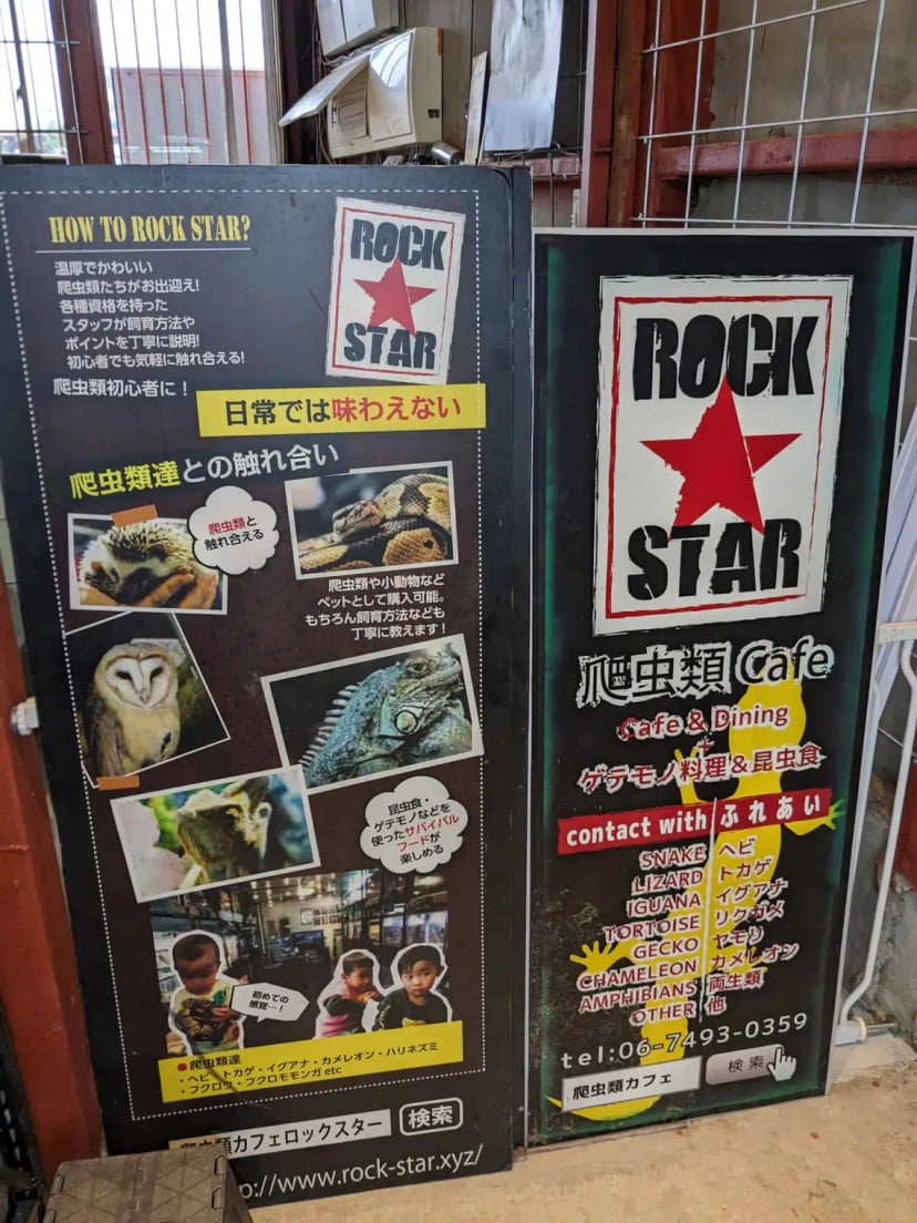 爬虫類カフェ ROCK STAR 堺店