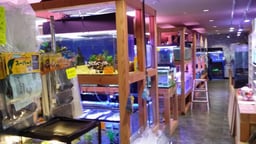 リトル水族館ざうおの画像2