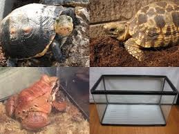 リユースショップ ケイエス