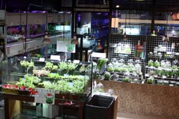 パウパウアクアガーデン銀座店の画像2