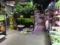 株式会社ViViDの画像3
