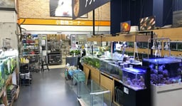 エイチ・ツー 豊洲店の画像2