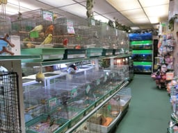 ZOO新大久保・ZOO流通の画像2