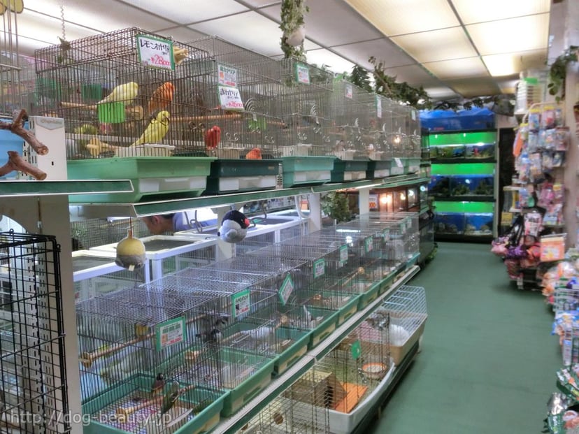 ZOO新大久保・ZOO流通