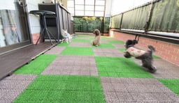 アニマルームの画像2