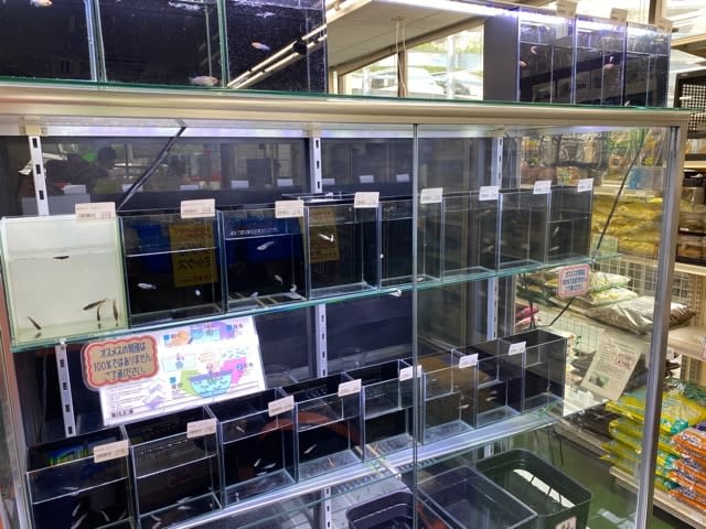 かねだい草加店